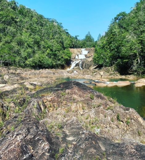 Noj Kaax Meen ELIJIO PANTI NATIONAL PARK